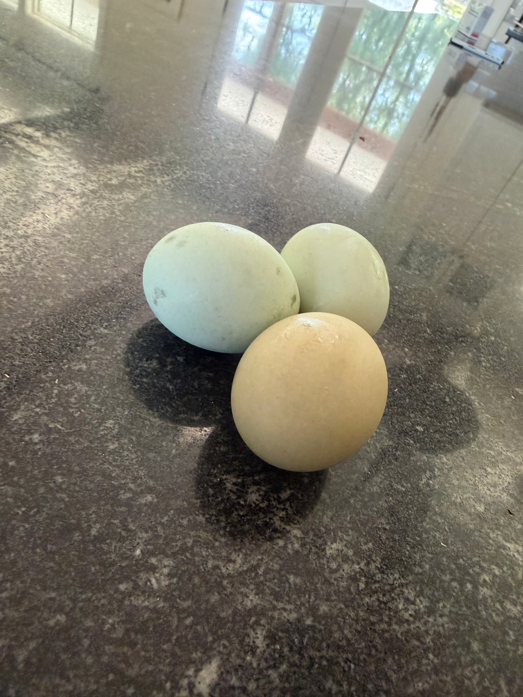 1 Dozen Farm-Fresh Eggs Large