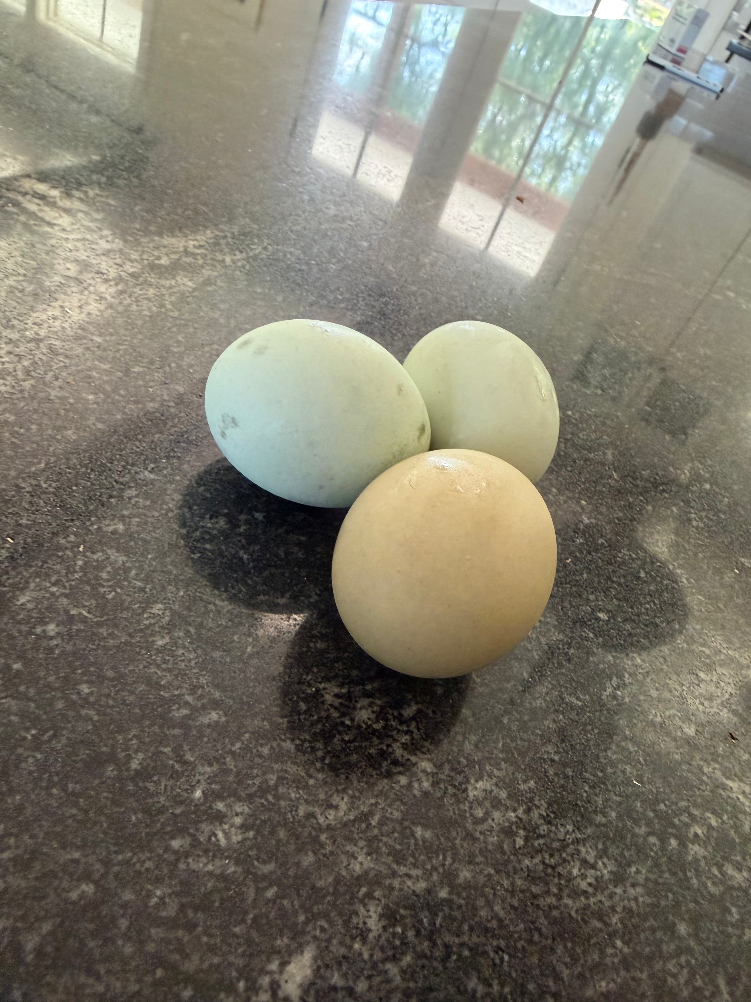 1 Dozen Farm-Fresh Eggs Large