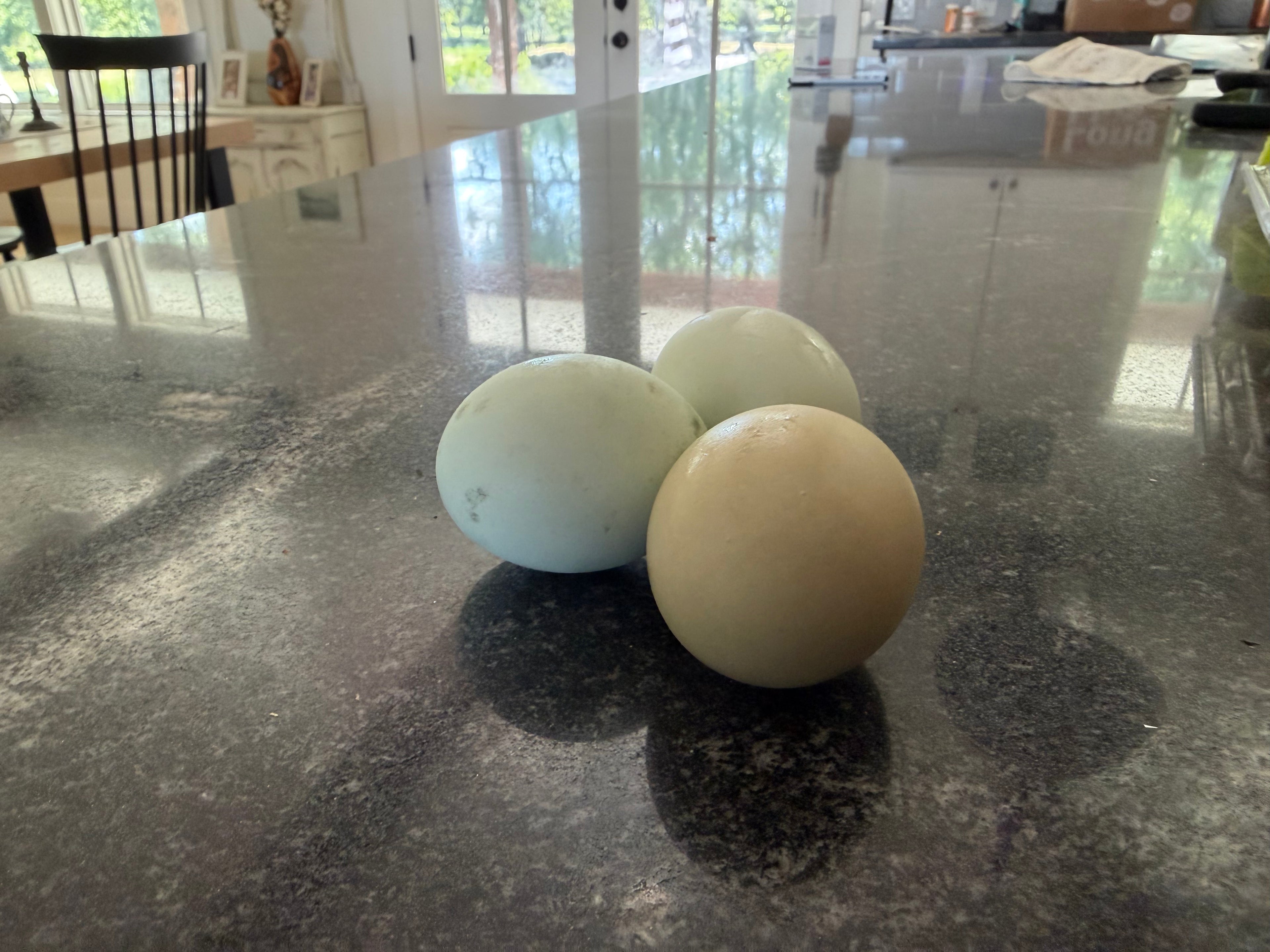 1 Dozen Farm-Fresh Eggs Large