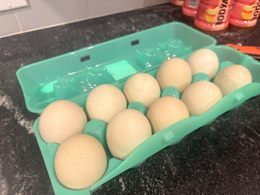 1 Dozen Farm-Fresh Eggs Extra-Large