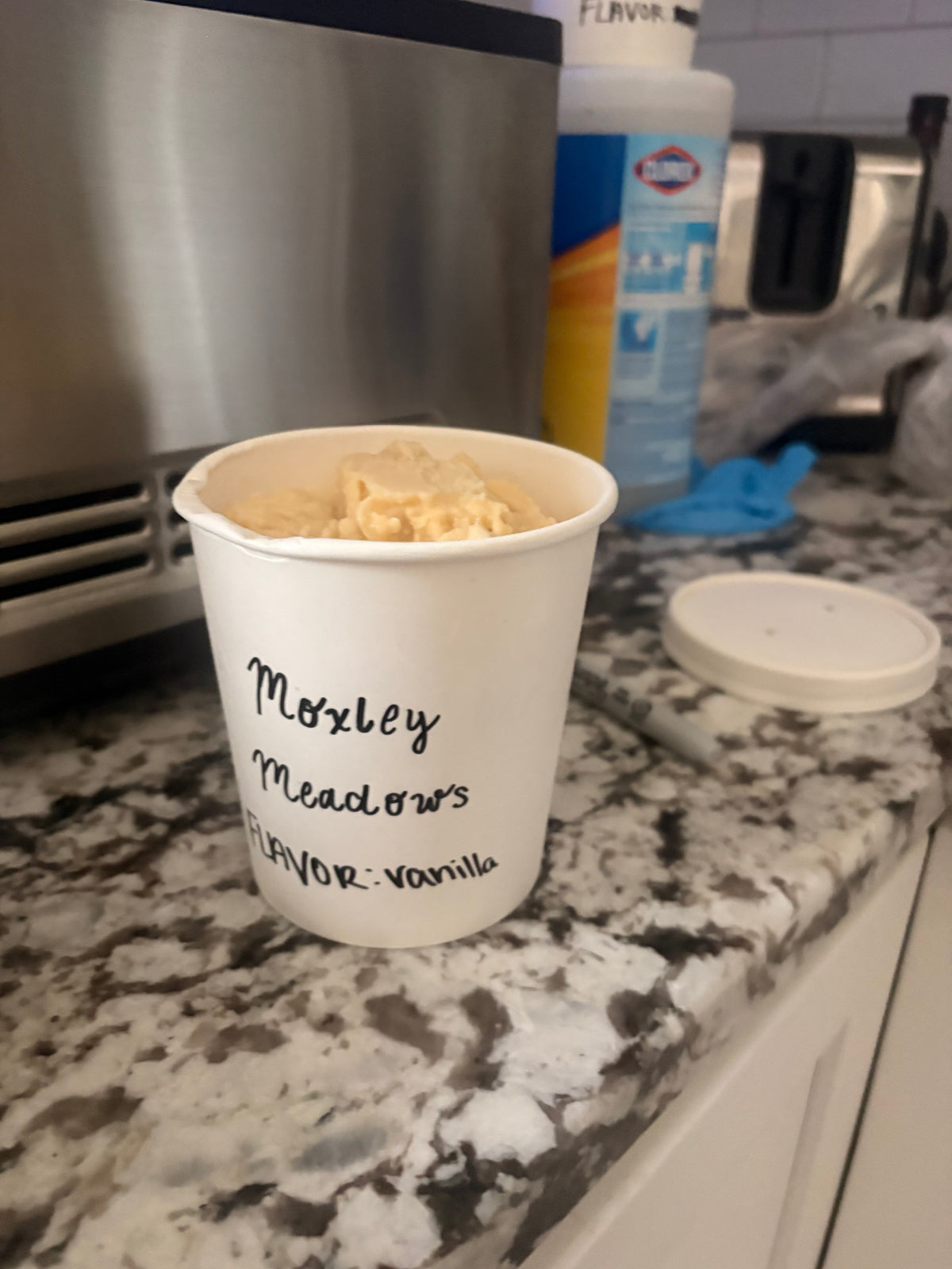 Vanilla Ice Cream